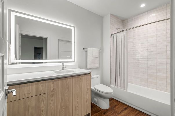 Bathroom, Interior, Recessed Lighting, Wood Texture Flooring