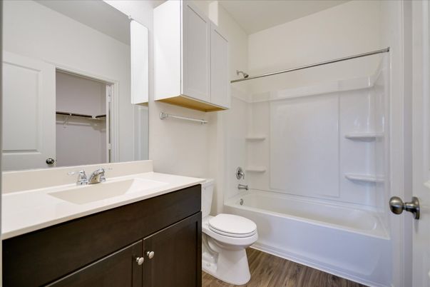 Bathroom, Interior, Wood Texture Flooring