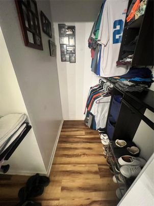 Interior, Walk-in Closets, Wood Texture Flooring