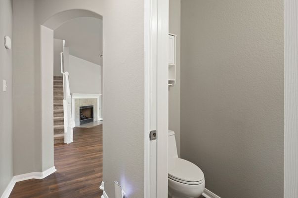 Bathroom, Fireplace, Interior, Wood Texture Flooring