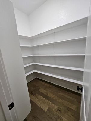 Interior, Walk-in Closets, Wood Texture Flooring