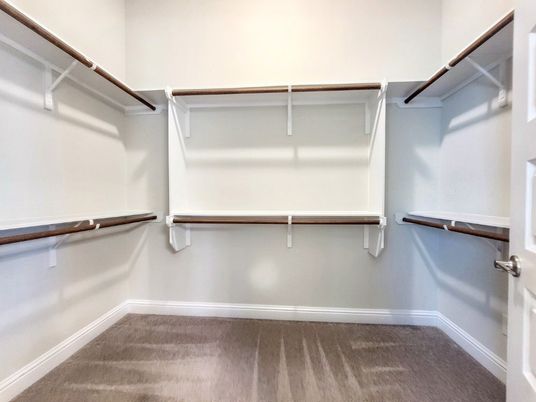 Interior, Walk-in Closets, Wood Texture Flooring