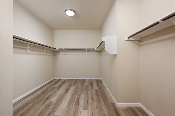 Interior, Walk-in Closets, Wood Texture Flooring