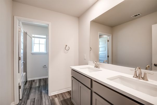 Bathroom, Dual Sink Vanities, Interior, Wood Texture Flooring