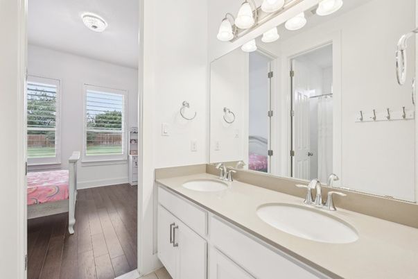 Bathroom, Dual Sink Vanities, Interior, Wood Texture Flooring