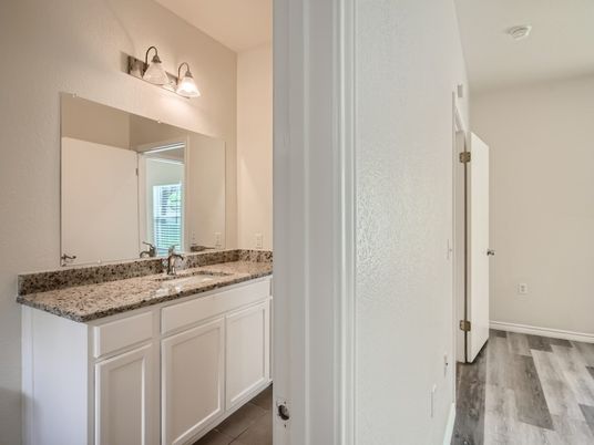 Bathroom, Dual Sink Vanities, Interior, Wood Texture Flooring