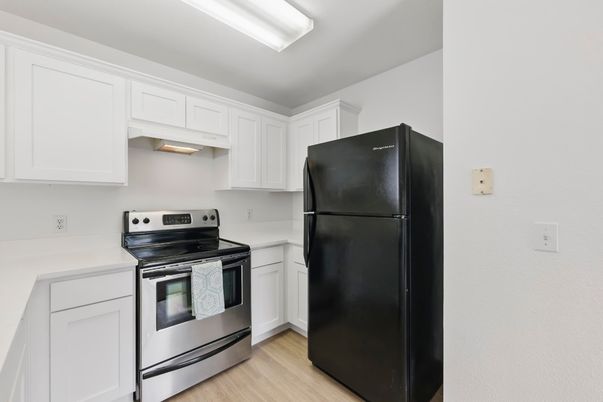 Interior, Kitchen, Stainless Steel Appliances, Wood Texture Flooring