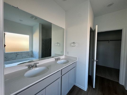 Bathroom, Dual Sink Vanities, Interior, Wood Texture Flooring