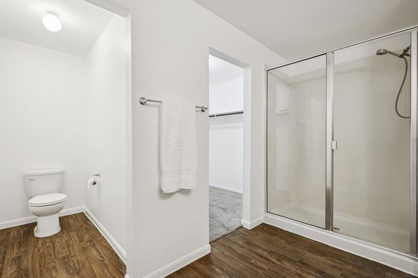 Bathroom, Glass Shower, Interior, Wood Texture Flooring