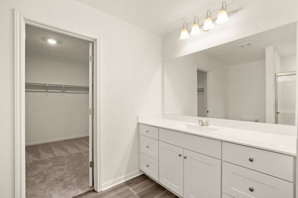 Bathroom, Interior, Recessed Lighting, Walk-in Closets, Wood Texture Flooring
