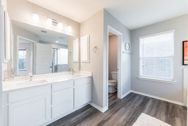 Bathroom, Dual Sink Vanities, Interior, Wood Texture Flooring