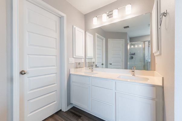 Bathroom, Dual Sink Vanities, Glass Shower, Interior, Wood Texture Flooring