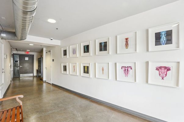 Interior, Recessed Lighting