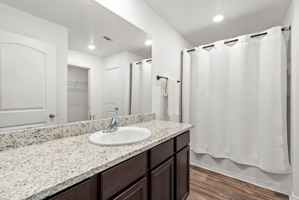 Bathroom, Interior, Recessed Lighting, Wood Texture Flooring