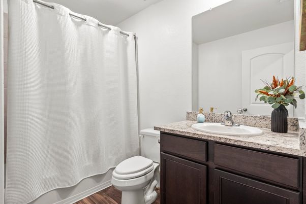 Bathroom, Interior, Wood Texture Flooring
