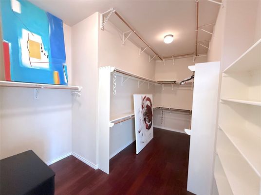 Interior, Walk-in Closets, Wood Texture Flooring
