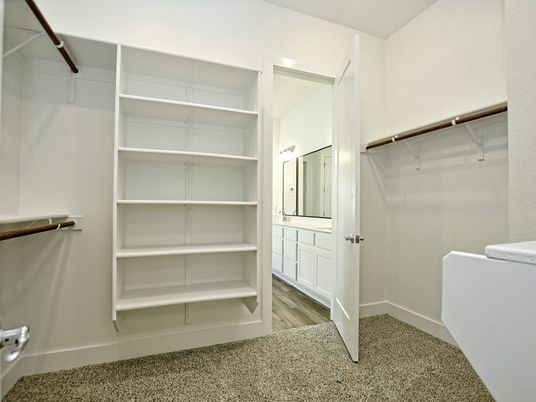 Interior, Walk-in Closets, Wood Texture Flooring