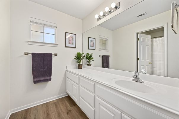 Bathroom, Dual Sink Vanities, Interior, Wood Texture Flooring