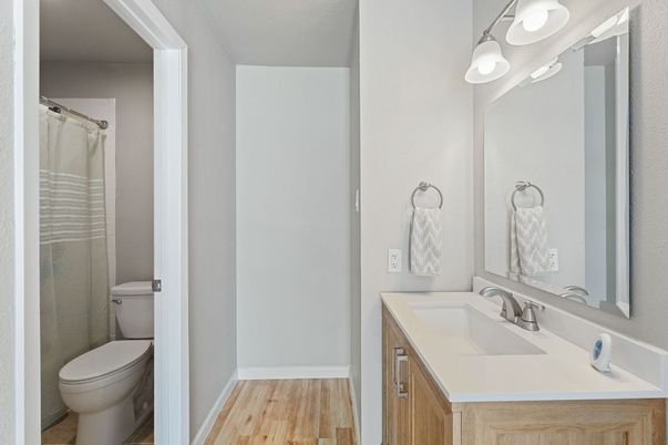 Bathroom, Interior, Wood Texture Flooring