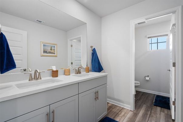 Bathroom, Dual Sink Vanities, Interior, Wood Texture Flooring