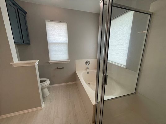 Bathroom, Glass Shower, Interior, Wood Texture Flooring