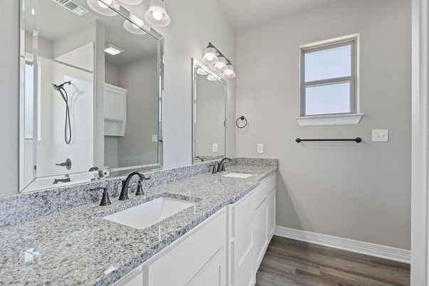 Bathroom, Dual Sink Vanities, Interior, Wood Texture Flooring