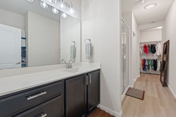Bathroom, Interior, Walk-in Closets, Wood Texture Flooring