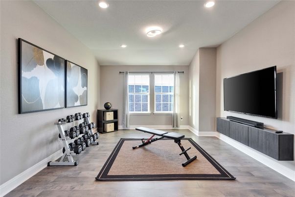 Fitness Equipment, Interior, Recessed Lighting, Wood Texture Flooring