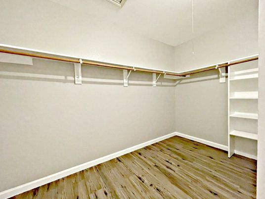 Interior, Walk-in Closets, Wood Texture Flooring