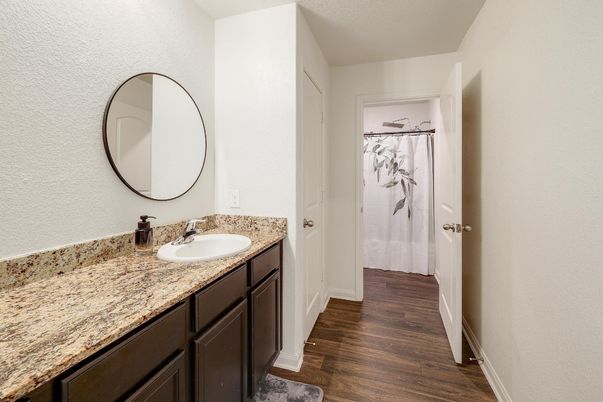 Bathroom, Dual Sink Vanities, Interior, Wood Texture Flooring