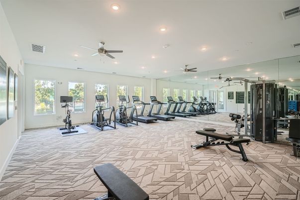Fitness Equipment, Gym, Interior, Recessed Lighting