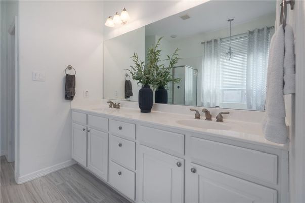 Bathroom, Dual Sink Vanities, Interior, Wood Texture Flooring