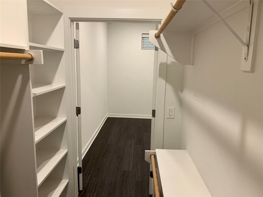 Interior, Walk-in Closets, Wood Texture Flooring