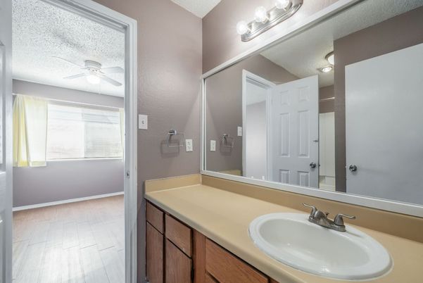 Bathroom, Dual Sink Vanities, Interior, Wood Texture Flooring
