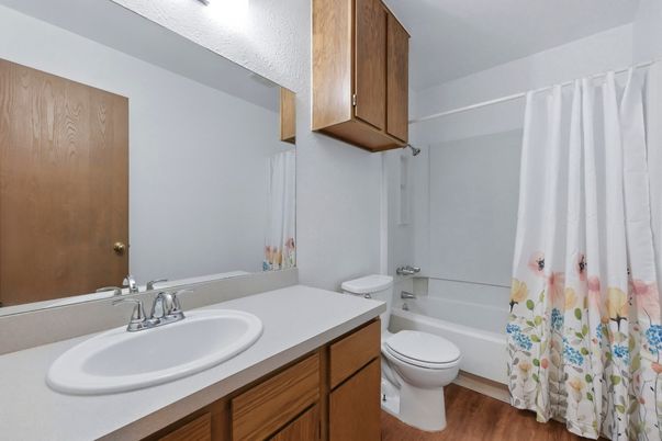 Bathroom, Interior, Wood Texture Flooring