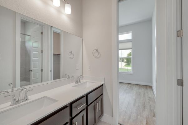 Bathroom, Dual Sink Vanities, Interior, Wood Texture Flooring