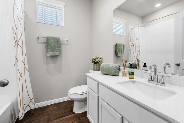 Bathroom, Interior, Recessed Lighting, Wood Texture Flooring
