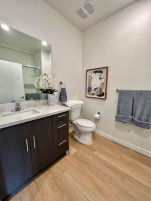 Bathroom, Interior, Recessed Lighting, Wood Texture Flooring
