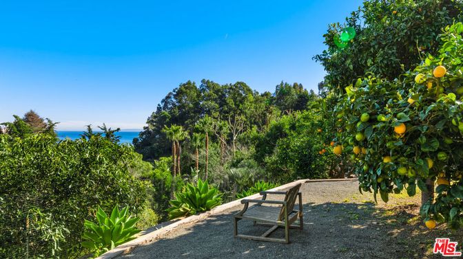 Backyard, Exterior, Water