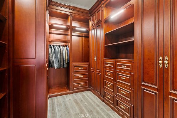 Interior, Walk-in Closets, Wood Texture Flooring, Wooden Walls