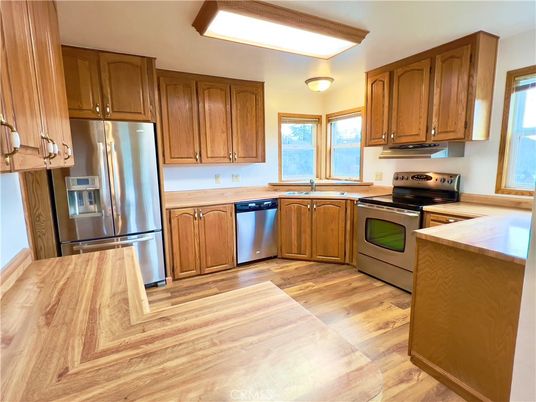 Interior, Kitchen, Stainless Steel Appliances, Wood Texture Flooring