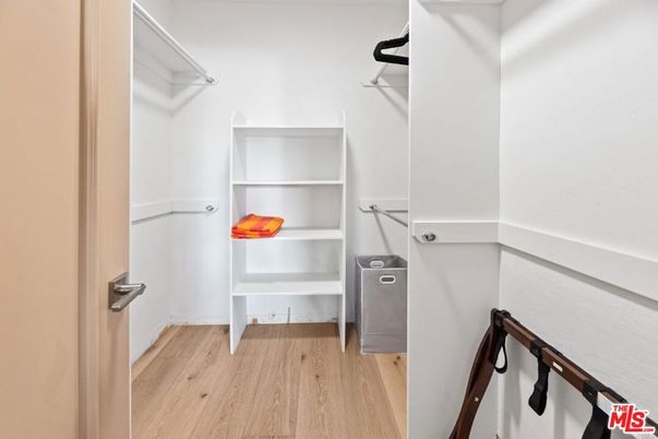 Interior, Walk-in Closets, Wood Texture Flooring