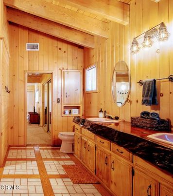 Bathroom, Interior, Wooden Walls