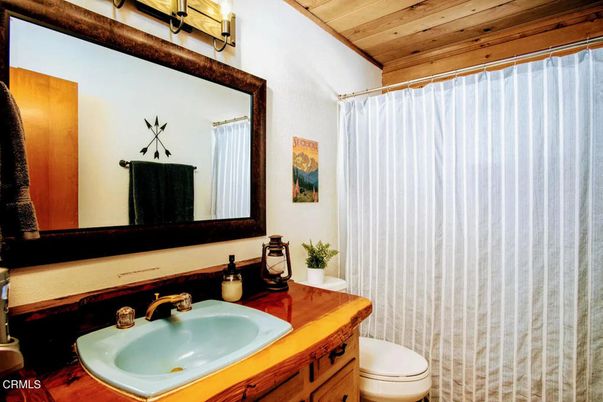 Bathroom, Interior, Wooden Ceilings