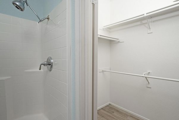 Bathroom, Interior, Walk-in Closets, Wood Texture Flooring
