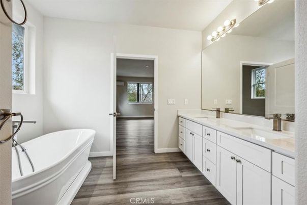 Bathroom, Dual Sink Vanities, Free Standing Baths, Interior, Wood Texture Flooring