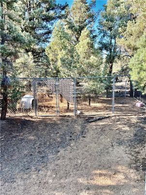 Backyard, Exterior, Tennis Courts