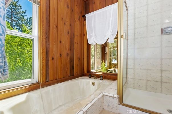 Bathroom, Glass Shower, Interior, Wooden Walls