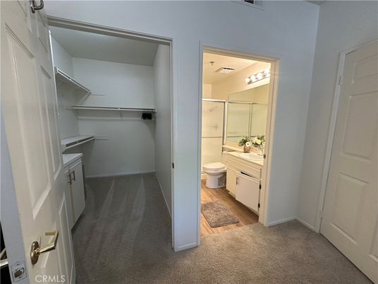Bathroom, Interior, Walk-in Closets, Wood Texture Flooring