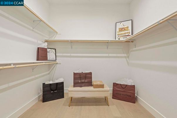 Interior, Walk-in Closets, Wood Texture Flooring